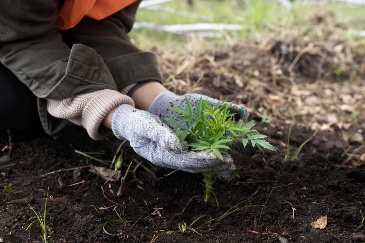 Best Affordable Tree Service  in Mary Esther, FL